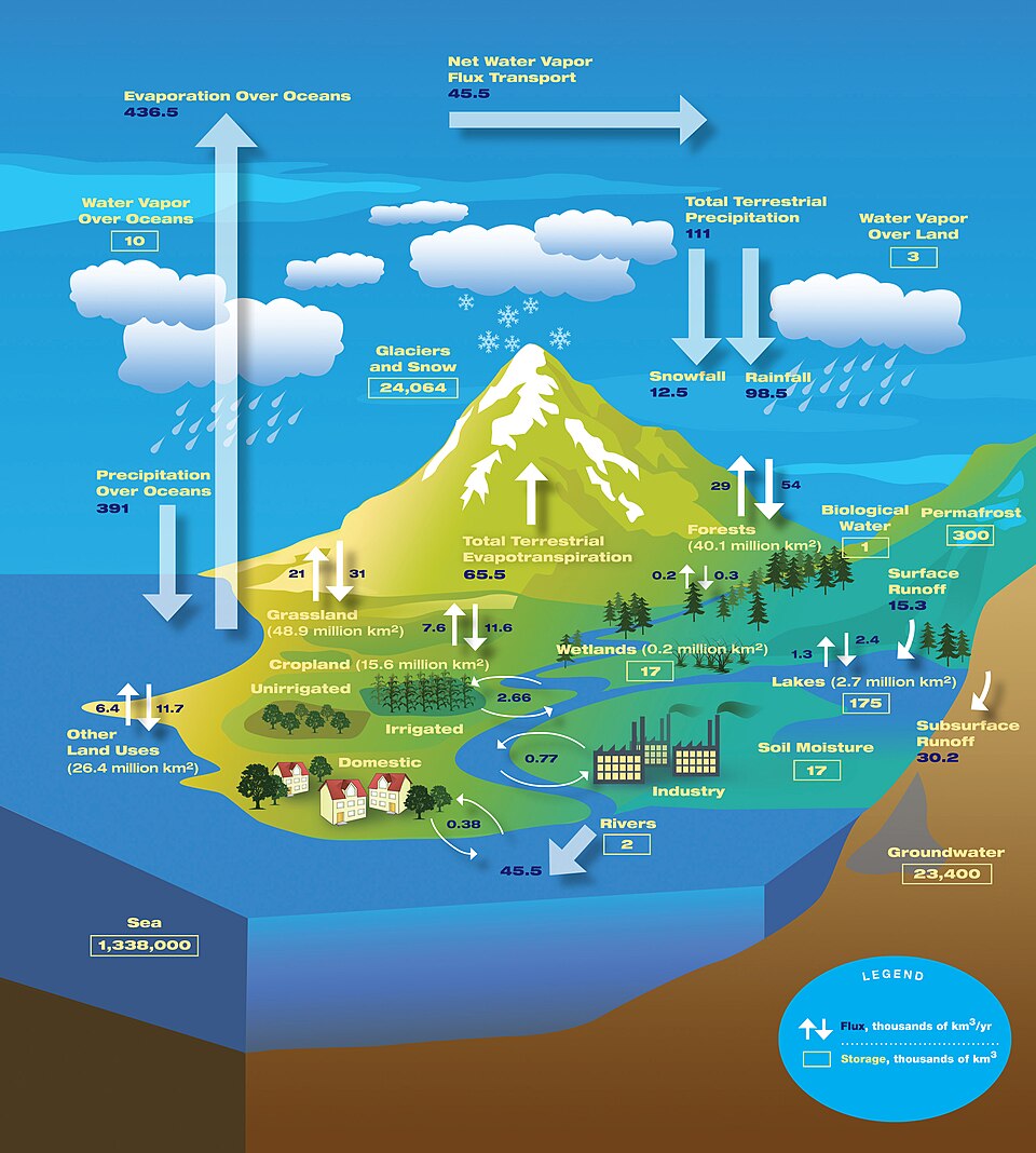 The Water Cycle science image